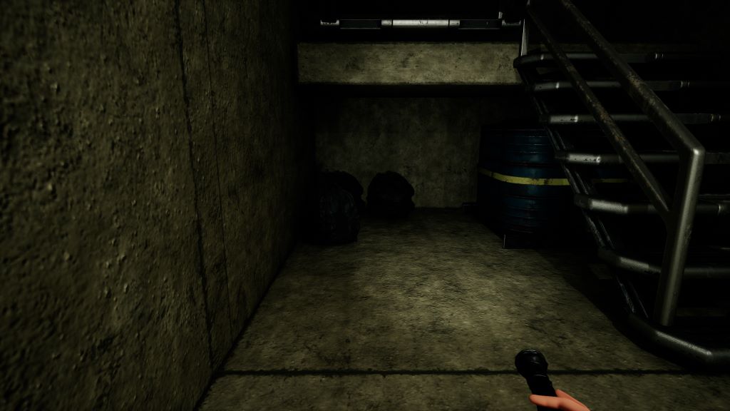 Only High First Person Flashlight